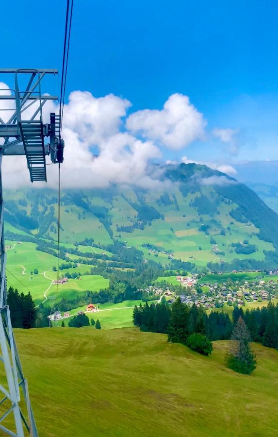 The Swiss Paradise 2 Apartment With Garden, Whirlpool, And Mountain Panorama Wirzweli 외부 사진