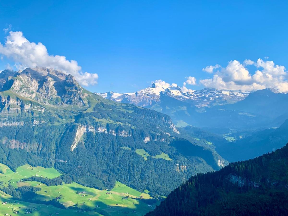 The Swiss Paradise 2 Apartment With Garden, Whirlpool, And Mountain Panorama Wirzweli 외부 사진