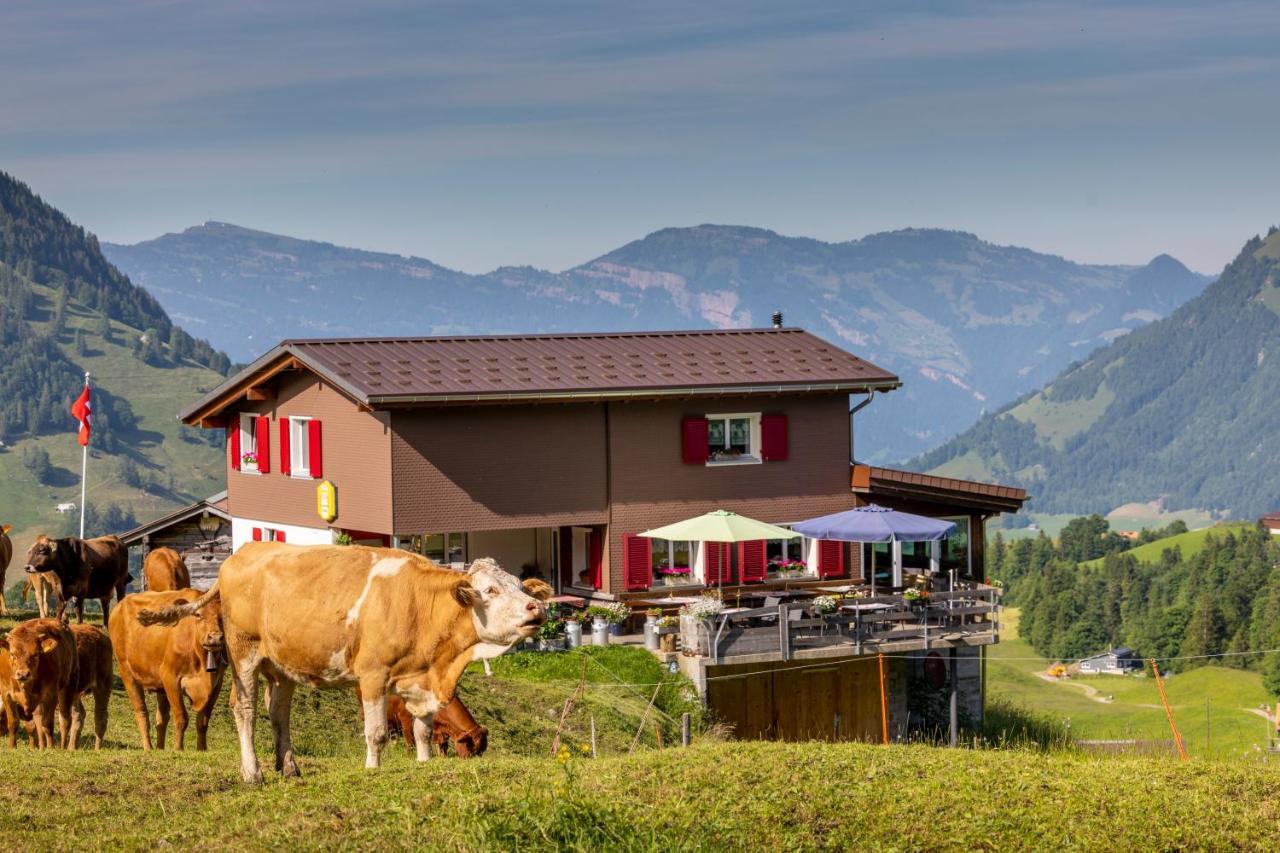 The Swiss Paradise 2 Apartment With Garden, Whirlpool, And Mountain Panorama Wirzweli 외부 사진